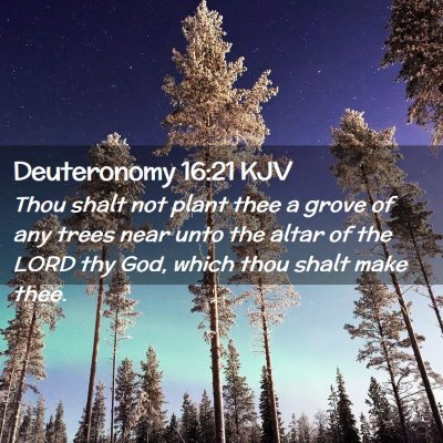 Picture 02 - Deuteronomy 16:21 KJV - Thou shalt not plant thee a grove of any trees - Bible Verse Picture