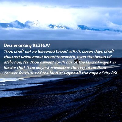 Picture 02 - Deuteronomy 16:3 KJV - Thou shalt eat no leavened bread with it; seven - Bible Verse Picture