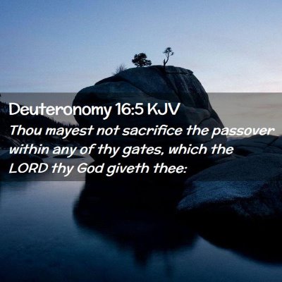 Picture 02 - Deuteronomy 16:5 KJV - Thou mayest not sacrifice the passover within any - Bible Verse Picture