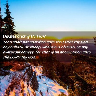 Picture 02 - Deuteronomy 17:1 KJV - Thou shalt not sacrifice unto the LORD thy God - Bible Verse Picture