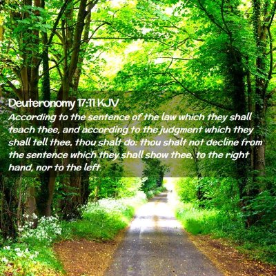 Picture 02 - Deuteronomy 17:11 KJV - According to the sentence of the law which they - Bible Verse Picture