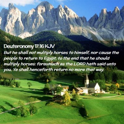 Picture 02 - Deuteronomy 17:16 KJV - But he shall not multiply horses to himself, nor - Bible Verse Picture