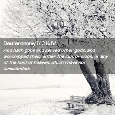Picture 02 - Deuteronomy 17:3 KJV - And hath gone and served other gods, and - Bible Verse Picture