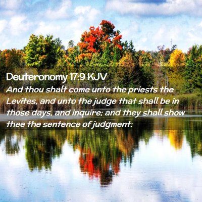 Picture 02 - Deuteronomy 17:9 KJV - And thou shalt come unto the priests the Levites, - Bible Verse Picture