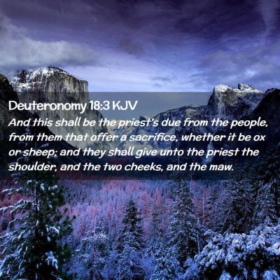 Picture 02 - Deuteronomy 18:3 KJV - And this shall be the priest's due from the - Bible Verse Picture