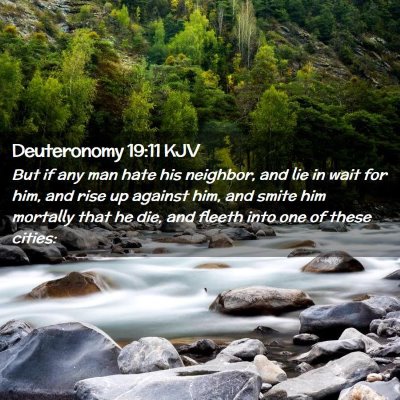 Picture 02 - Deuteronomy 19:11 KJV - But if any man hate his neighbor, and lie in wait - Bible Verse Picture