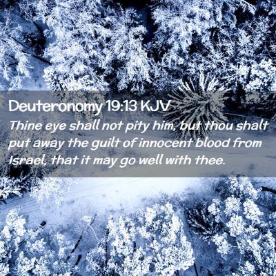 Picture 02 - Deuteronomy 19:13 KJV - Thine eye shall not pity him, but thou shalt put - Bible Verse Picture