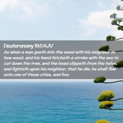 Picture 02 - Deuteronomy 19:5 KJV - As when a man goeth into the wood with his - Bible Verse Picture