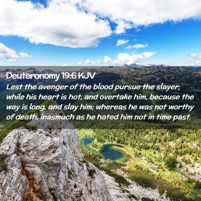 Picture 02 - Deuteronomy 19:6 KJV - Lest the avenger of the blood pursue the slayer, - Bible Verse Picture