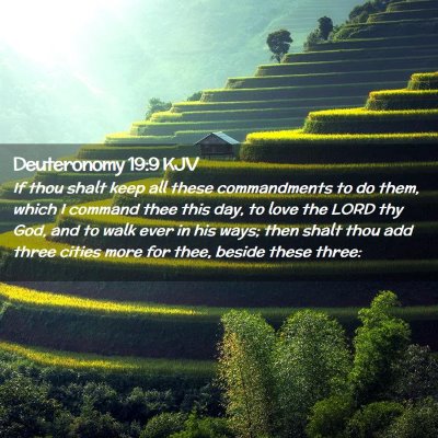 Picture 02 - Deuteronomy 19:9 KJV - If thou shalt keep all these commandments to do - Bible Verse Picture