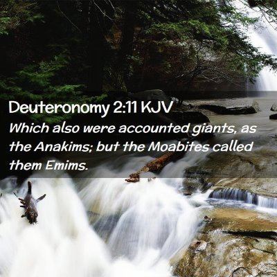 Picture 02 - Deuteronomy 2:11 KJV - Which also were accounted giants, as the Anakims; - Bible Verse Picture