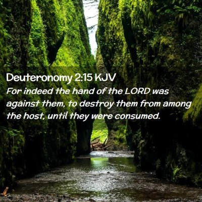 Picture 02 - Deuteronomy 2:15 KJV - For indeed the hand of the LORD was against them, - Bible Verse Picture