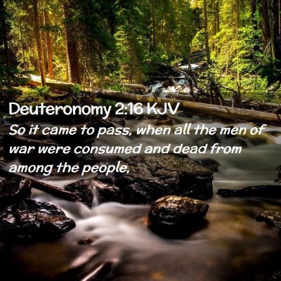 Picture 02 - Deuteronomy 2:16 KJV - So it came to pass, when all the men of war were - Bible Verse Picture