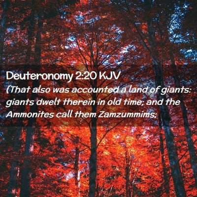 Picture 02 - Deuteronomy 2:20 KJV - (That also was accounted a land of giants: giants - Bible Verse Picture