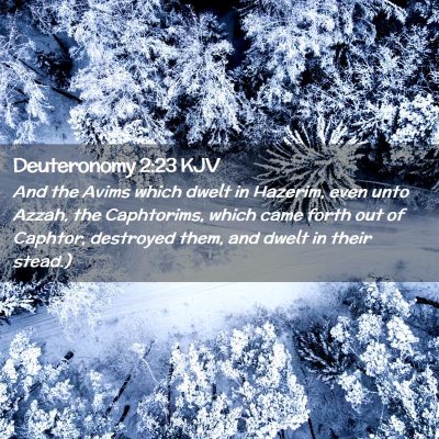 Picture 02 - Deuteronomy 2:23 KJV - And the Avims which dwelt in Hazerim, even unto - Bible Verse Picture
