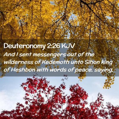 Picture 02 - Deuteronomy 2:26 KJV - And I sent messengers out of the wilderness of - Bible Verse Picture