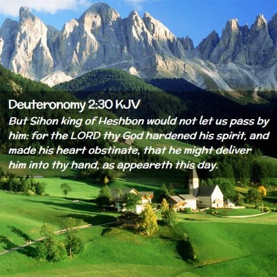 Picture 02 - Deuteronomy 2:30 KJV - But Sihon king of Heshbon would not let us pass - Bible Verse Picture