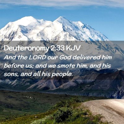 Picture 02 - Deuteronomy 2:33 KJV - And the LORD our God delivered him before us; and - Bible Verse Picture