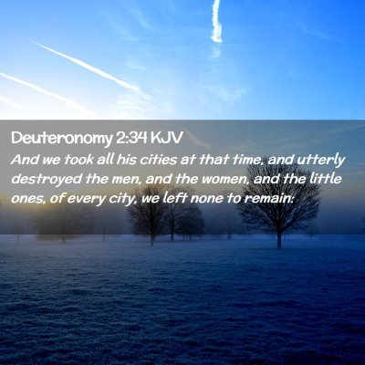 Picture 02 - Deuteronomy 2:34 KJV - And we took all his cities at that time, and - Bible Verse Picture