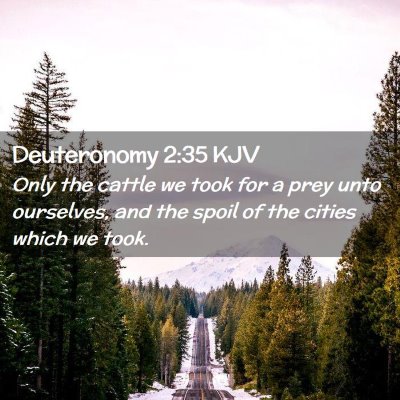 Picture 02 - Deuteronomy 2:35 KJV - Only the cattle we took for a prey unto - Bible Verse Picture