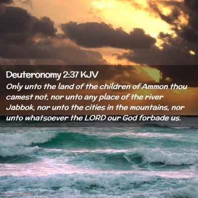 Picture 02 - Deuteronomy 2:37 KJV - Only unto the land of the children of Ammon thou - Bible Verse Picture