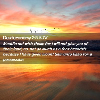 Picture 02 - Deuteronomy 2:5 KJV - Meddle not with them; for I will not give you of - Bible Verse Picture