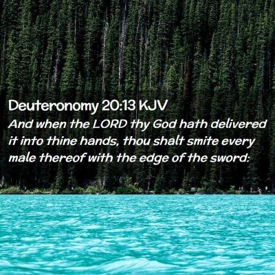 Picture 02 - Deuteronomy 20:13 KJV - And when the LORD thy God hath delivered it into - Bible Verse Picture