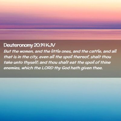 Picture 02 - Deuteronomy 20:14 KJV - But the women, and the little ones, and the - Bible Verse Picture