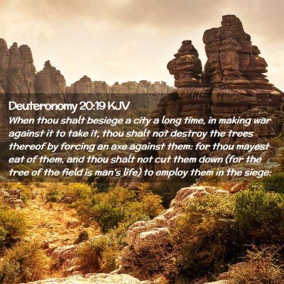 Picture 02 - Deuteronomy 20:19 KJV - When thou shalt besiege a city a long time, in - Bible Verse Picture