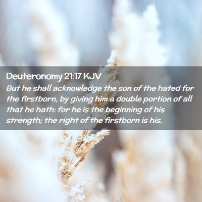 Picture 02 - Deuteronomy 21:17 KJV - But he shall acknowledge the son of the hated for - Bible Verse Picture