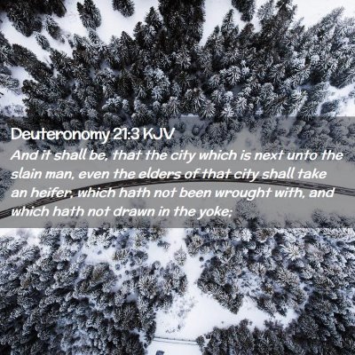 Picture 02 - Deuteronomy 21:3 KJV - And it shall be, that the city which is next unto - Bible Verse Picture