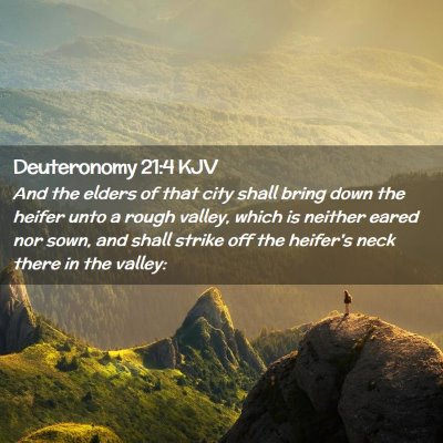 Picture 02 - Deuteronomy 21:4 KJV - And the elders of that city shall bring down the - Bible Verse Picture