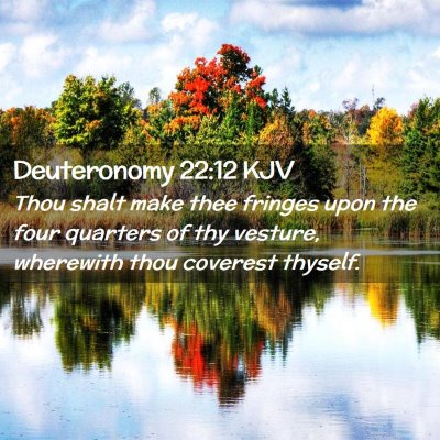 Picture 02 - Deuteronomy 22:12 KJV - Thou shalt make thee fringes upon the four - Bible Verse Picture