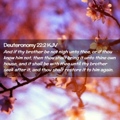 Picture 02 - Deuteronomy 22:2 KJV - And if thy brother be not nigh unto thee, or if - Bible Verse Picture