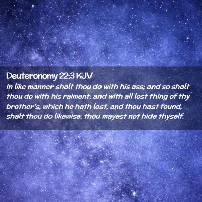 Picture 02 - Deuteronomy 22:3 KJV - In like manner shalt thou do with his ass; and so - Bible Verse Picture