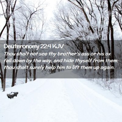 Picture 02 - Deuteronomy 22:4 KJV - Thou shalt not see thy brother's ass or his ox - Bible Verse Picture