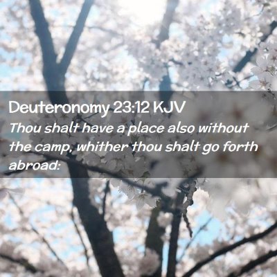 Picture 02 - Deuteronomy 23:12 KJV - Thou shalt have a place also without the camp, - Bible Verse Picture