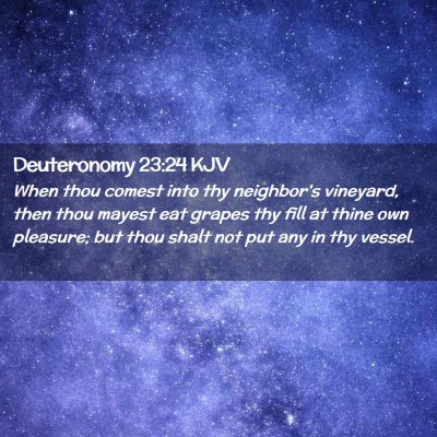 Picture 02 - Deuteronomy 23:24 KJV - When thou comest into thy neighbor's vineyard, - Bible Verse Picture