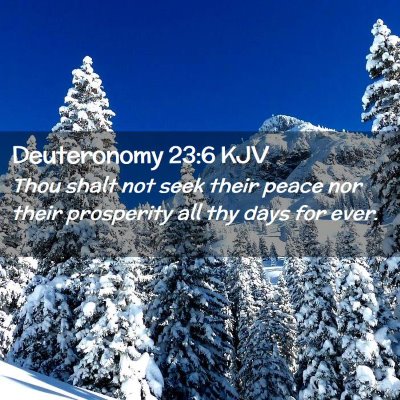 Picture 02 - Deuteronomy 23:6 KJV - Thou shalt not seek their peace nor their - Bible Verse Picture