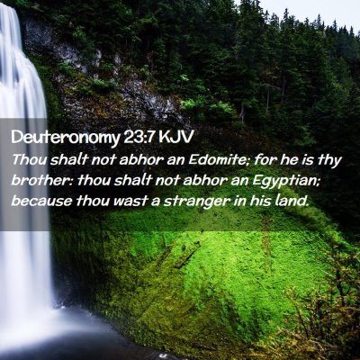 Picture 02 - Deuteronomy 23:7 KJV - Thou shalt not abhor an Edomite; for he is thy - Bible Verse Picture
