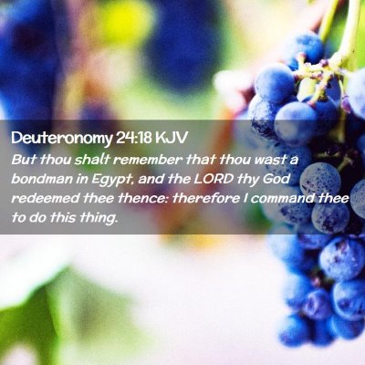 Picture 02 - Deuteronomy 24:18 KJV - But thou shalt remember that thou wast a bondman - Bible Verse Picture