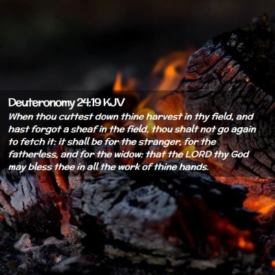 Picture 02 - Deuteronomy 24:19 KJV - When thou cuttest down thine harvest in thy - Bible Verse Picture