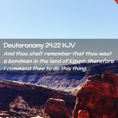 Picture 02 - Deuteronomy 24:22 KJV - And thou shalt remember that thou wast a bondman - Bible Verse Picture