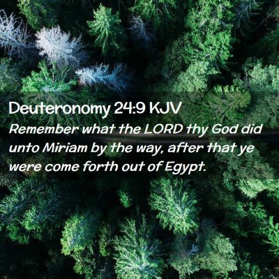 Picture 02 - Deuteronomy 24:9 KJV - Remember what the LORD thy God did unto Miriam by - Bible Verse Picture