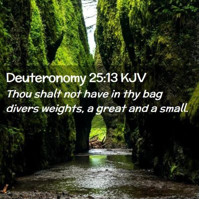 Picture 02 - Deuteronomy 25:13 KJV - Thou shalt not have in thy bag divers weights, a - Bible Verse Picture