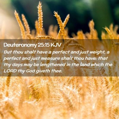 Picture 02 - Deuteronomy 25:15 KJV - But thou shalt have a perfect and just weight, a - Bible Verse Picture