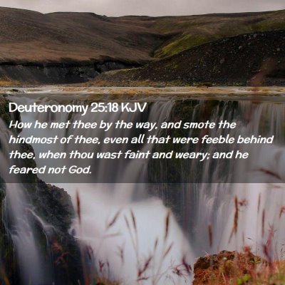 Picture 02 - Deuteronomy 25:18 KJV - How he met thee by the way, and smote the - Bible Verse Picture