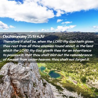 Picture 02 - Deuteronomy 25:19 KJV - Therefore it shall be, when the LORD thy God hath - Bible Verse Picture