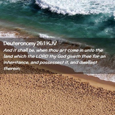 Picture 02 - Deuteronomy 26:1 KJV - And it shall be, when thou art come in unto the - Bible Verse Picture