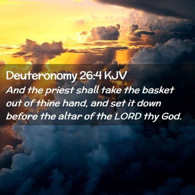 Picture 02 - Deuteronomy 26:4 KJV - And the priest shall take the basket out of thine - Bible Verse Picture